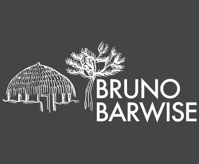 Bruno Barwise